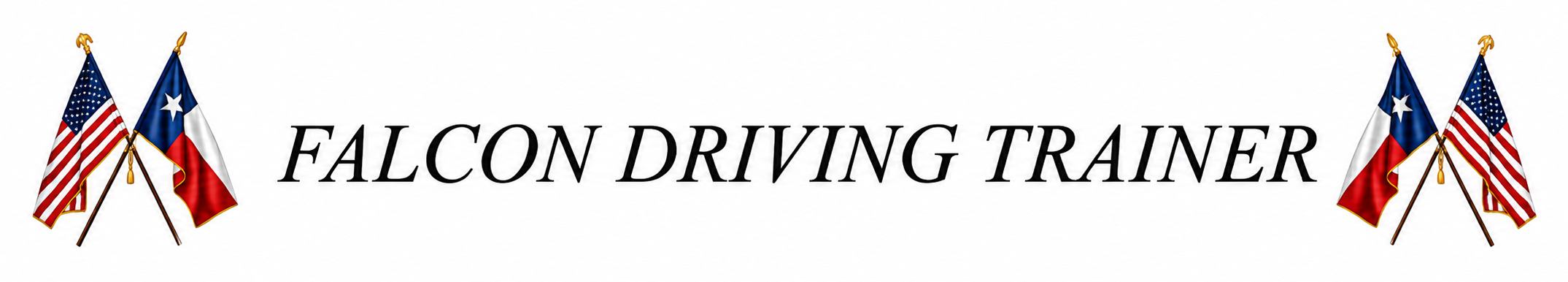 Falcon Driving Trainer